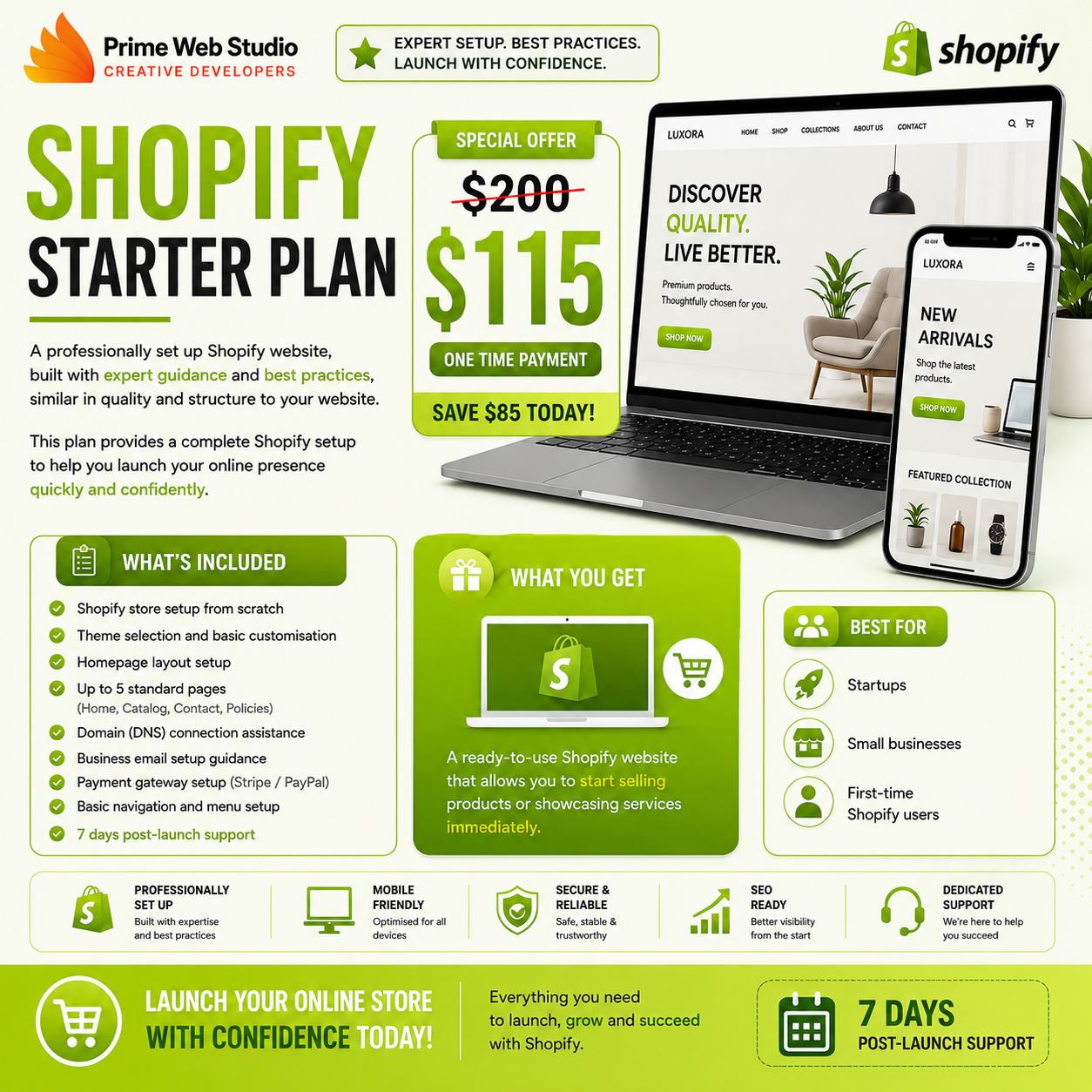 Website Design – Basic Plan